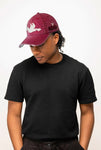Guinness Red Distressed Toucan Cap